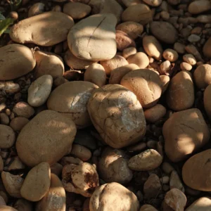 galet roulet chateauneuf du pape
