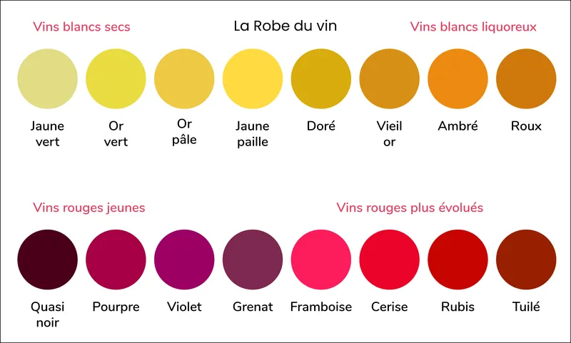 l'evolution du vin