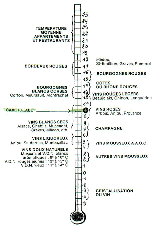 thermometre degustation vin